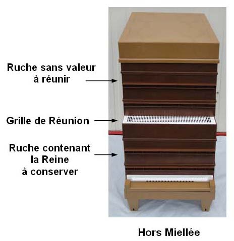 Mode d'emploi grille de réunion Nicot Dadant 10 cadres